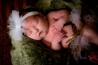 paige newborn-135